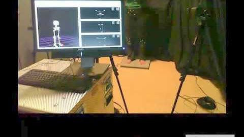 Postural Sway using Biofeedback with AMTI Accusway, VICON cameras, and The MotionMonitor®