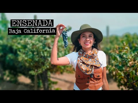 Así es VIAJAR A ENSENADA en la Nueva Normalidad | Baja California México