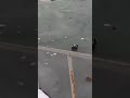 Guy drives his truck across lake! #shorts #youtubeshorts #viral #trending #rccar