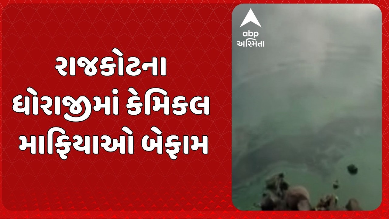 Rajkot News | ધોરાજીમાં કેમિકલ માફિયાઓ બેફામ, ભાદર નદીમા માફિયાઓએ ઠાલવ્યું કેમિકલ યુક્ત પાણી