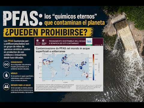 PFAS: the “forever chemicals” that pollute the planet - can they be banned?