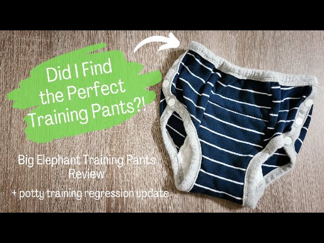 Big Elephant Potty Training Pants Review + Potty Training Regression Update  pt 3 