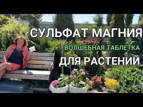 СУЛЬФАТ МАГНИЯ ДЛЯ РАСТЕНИЙ | Удобрение для роз, гортензий, рододендронов |Сульфат магния когда, как