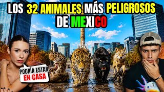 REACCIONAMOS a LOS ANIMALES MÁS LETALES de CADA ESTADO de MÉXICO 🇲🇽😱 *pueden ESTAR en CASA*