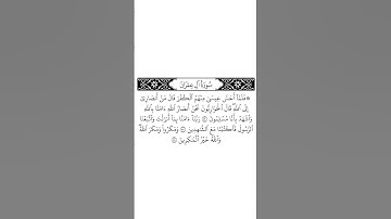 #القرآن_الكريم #الفرقان #سورة_آل_عمران #محمد_اللحيدان