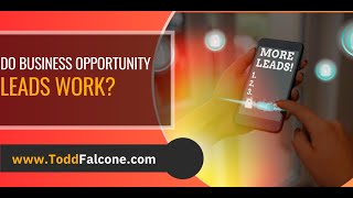 Do Business Opportunity Leads Work?
