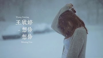【HD】王欣婷 - 想你想你 [新歌][歌詞字幕][完整高清音質] Wang Xinting - Miss You