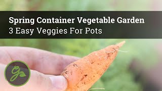 Famous Spring Container Vegetable Garden - 3 Easy Veggies For Pots Net Worth