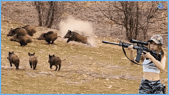 Wild Boar Hunting – Young Hunter Takes Down Massive Hogs with Perfect Shots