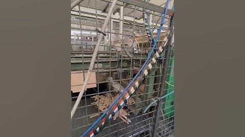 CURIONI 3100 T CASEMAKER 2 flexo color in line folder gluer counter ejector - celotticonsulting.com