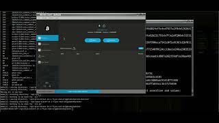 Bitnet Io With Quantum Framework Hopefully Soon Prototype Video 07-22-2024