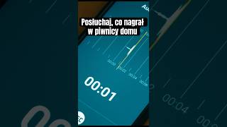 Głosy spod piwnicy. Zmowa milczenia i tajemnicze korytarze