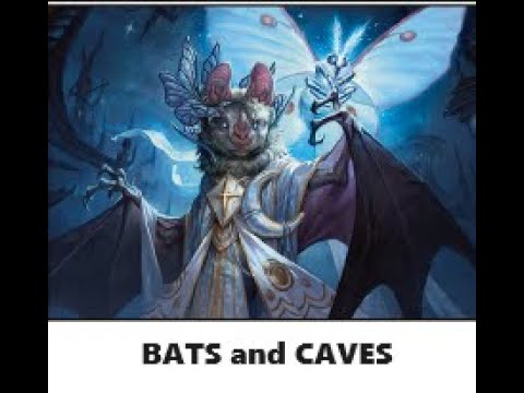 BATS SHOULD BE IN CAVES!! Budget Bats deck for MTG Standard - YouTube