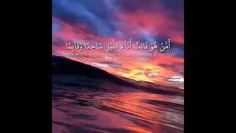 (أمن هو قانت أناء الليل ساجدا وقائما يحذر الأخرة ويرجعوا رحمة ربه)سورة الزمر _ياسر الدوسري