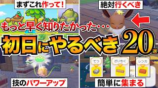 【ぽこあポケモン攻略】序盤で絶対やって！後悔する前に見るべき20選/すみごこち/生息地/環境レベル/ざいもく/まっ...