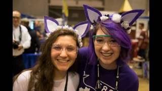 Code Purple Annual Video Net Worth