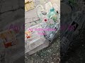 Am înălțat vârful la barcă