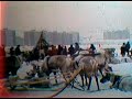 Гонки на оленьих упряжках.  Праздник Севера.  Мурманск . 1986 год