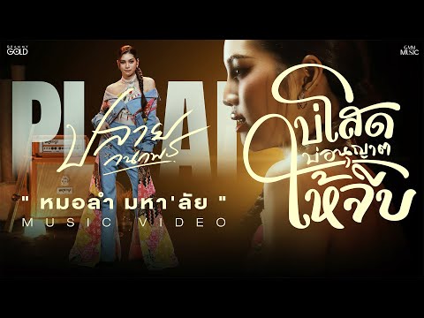 คอร์ดเพลง บ่โสดบ่อนุญาตให้จีบ ปลาย กนกพร