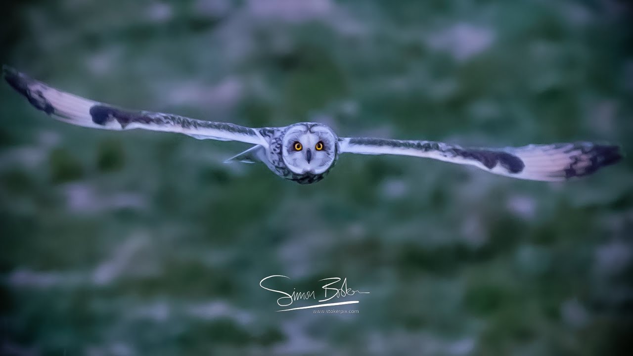 The Breathtaking Beauty of Nature | New Horizons | HD | Stokerpix April 2021 