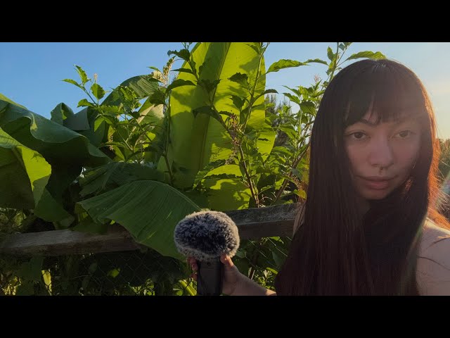 ASMR in Nature | Scratching & Tapping on Leaves
