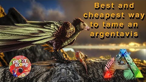Best and CHEAPEST way to tame an argy