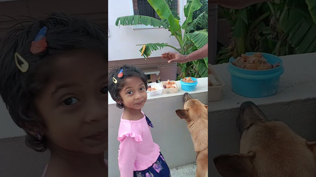 Healthy Refrigerated Chicken Parts Dog Food | Kombai Dog