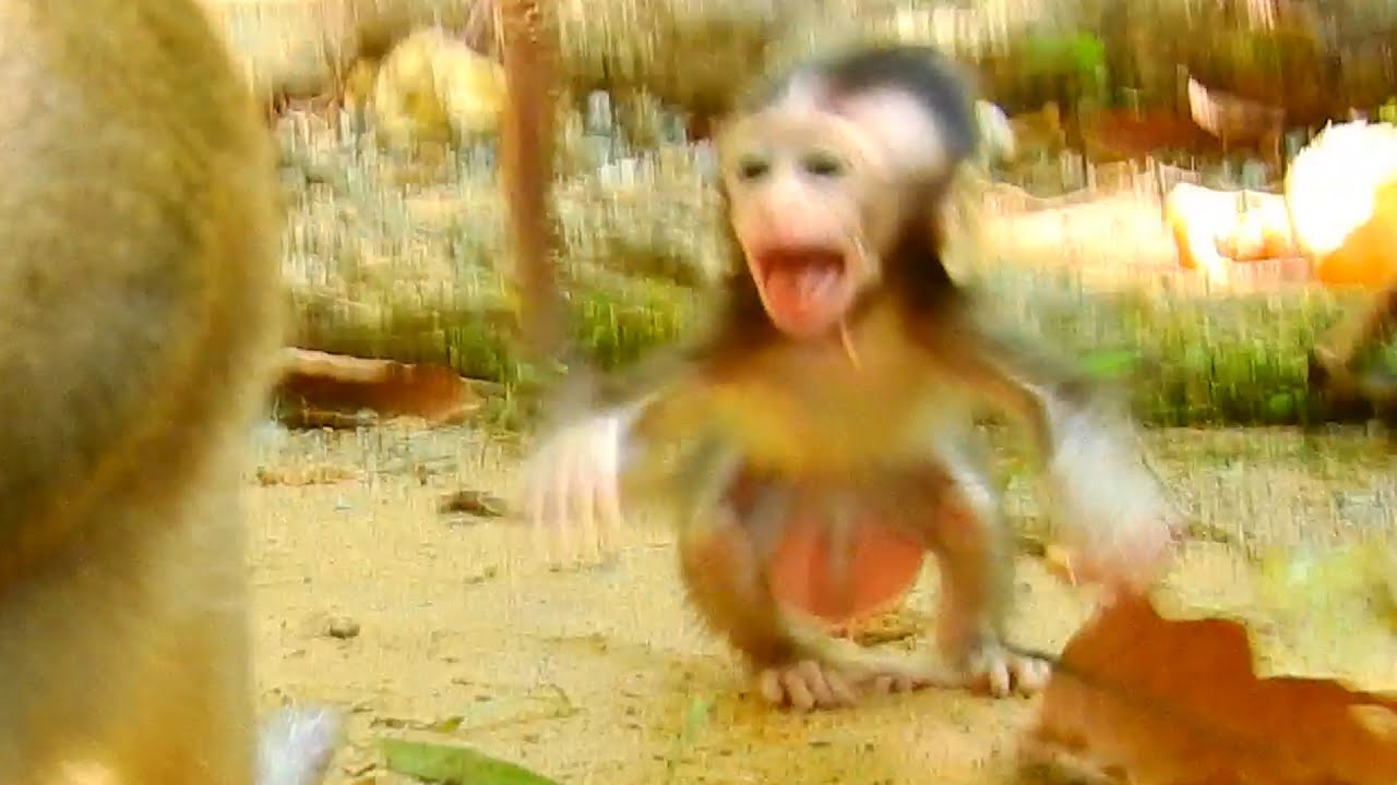 Ara angry mom Anna leave baby alone