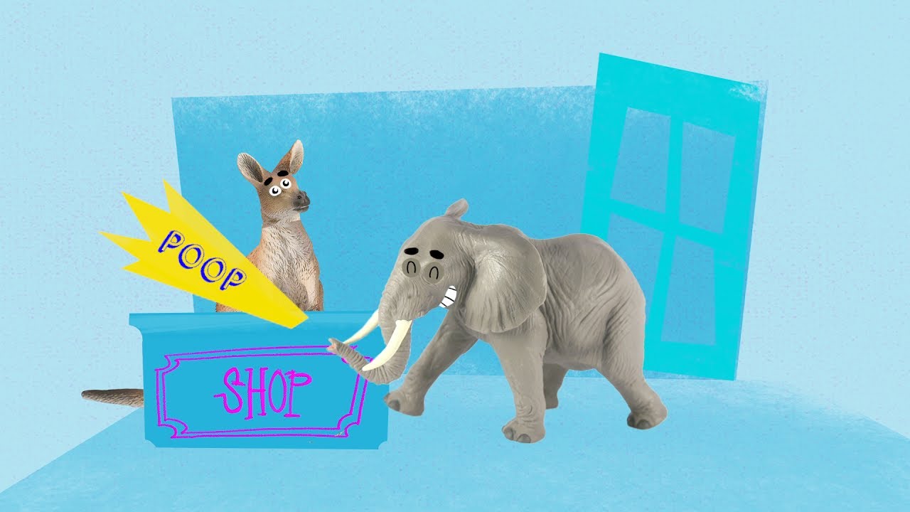 The Zoopermarket (look test)