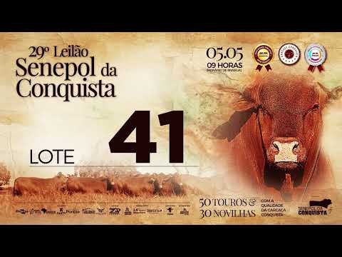 LOTE 41 CONQ 2785