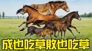 Download Lagu 5600萬年前的老馬是怎麼進化到這麼能跑的？為什麼吃草反而害了馬族？丨古獸16丨獸族時代 MP3