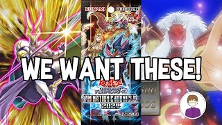 Yu-Gi-Oh! Players WANT THESE CARDS in ANIMATION CHRONICLE 2024