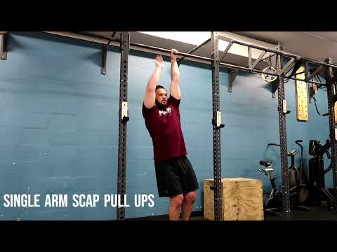 Single Arm Scap Pull Ups