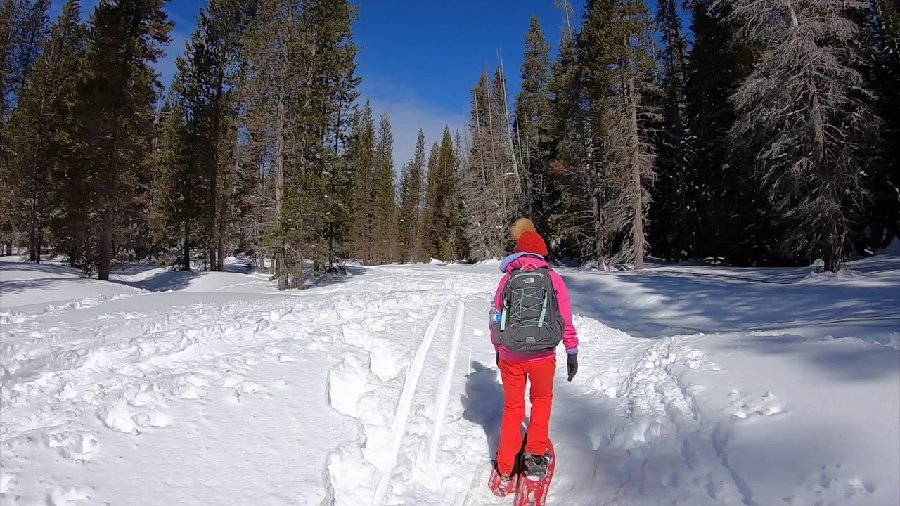 Snowshoeing in Yosemite Feb '19 YouTube