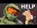 Master Chief Saves The WORLD - One Kitten At A Time!