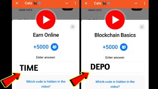 Earn Online Cats Code | Blockchain Basics Cats Code | Cats All Video Codes Today