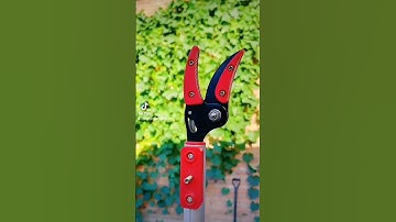 Kéo cắt tỉa cành trên cao hái quả cưa nhánh dài 3met 4met 5met.  0888542612 #keocatcanhtrencao