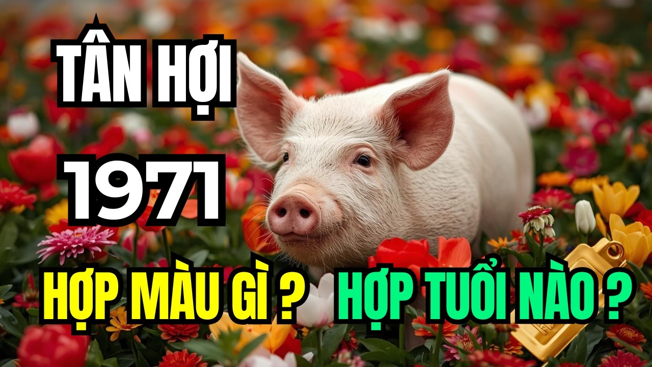 Tuổi Tân Hợi 1971, Hợp Màu Nào, Kỵ Màu Nào, Hợp Tuổi, Kỵ Tuổi, Theo Tam Hợp Tứ Hành Xung, tử vi Việt