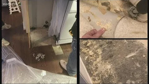 'We owe them apologies' | Air Force and Army leaders answer questions on dangerous military housing