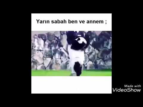 komik instagram videoları kısa