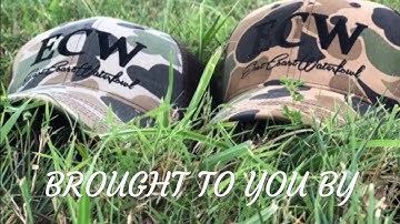 Adventure Retrievers - “Wes” with live birds following force fetch