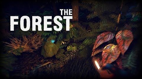 The Forest * How to get the Katana and Flashlight *