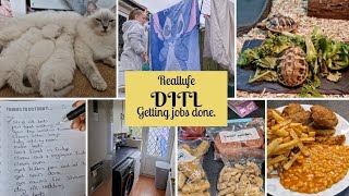 DITL. Getting jobs done. #sahm #ditl #ditlvlog  #vlog #realife #realistic #vlogs