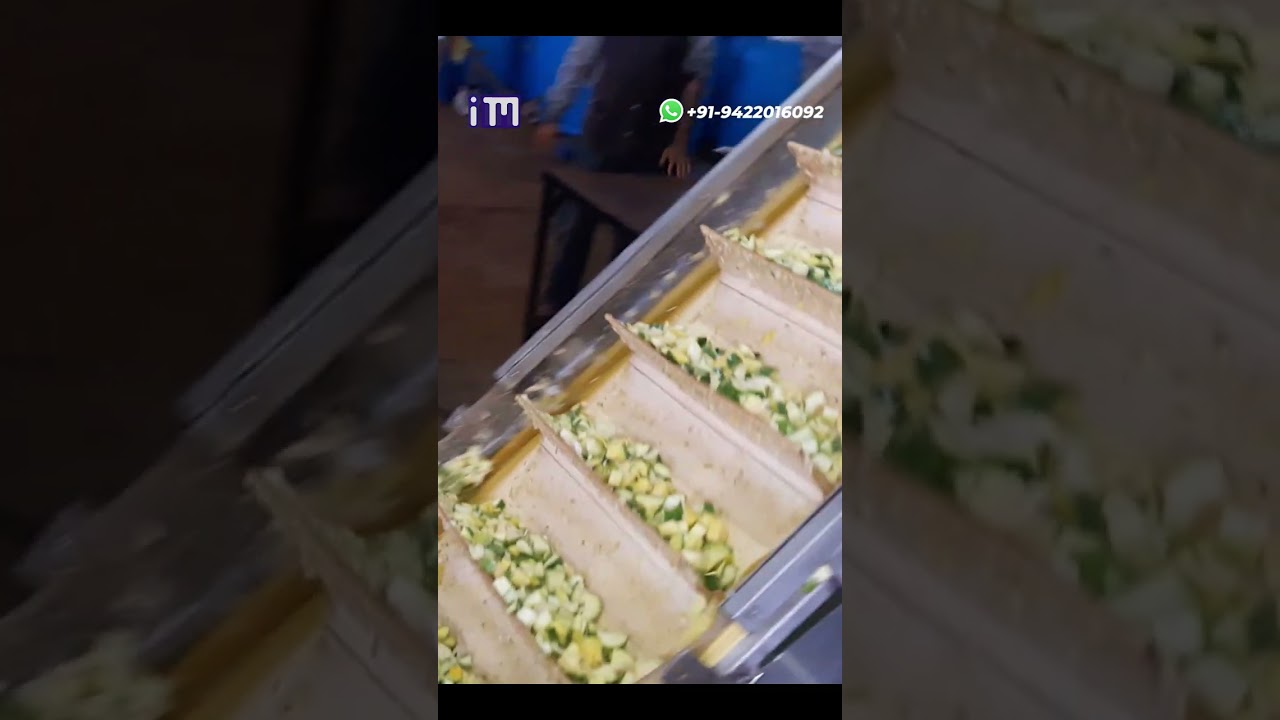 Mango Pickle (Aam Ka Achar) Manufacturing Plant - 4 | Keri Cutting | Raw Mango Cubes Conveyor Belt