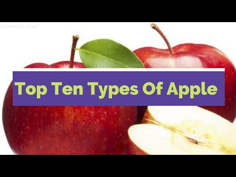 TOP 10  apples from 7,500 varieties of in the world