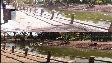 iPhone7 vs Samsung NX1 Video Comparison