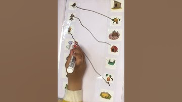 Brain boosting worksheet/ Animals and its habitat/ age 3.6+