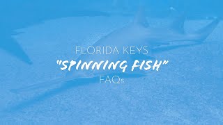 Spinning Fish in the Florida Keys FAQs