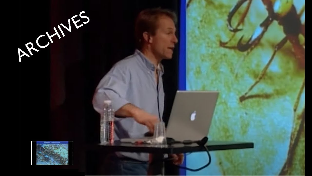 Les fourmis : un modèle extraordinaire