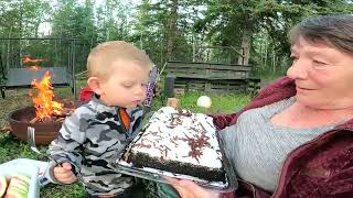 Июль 27, 2025 Ферма, животные 